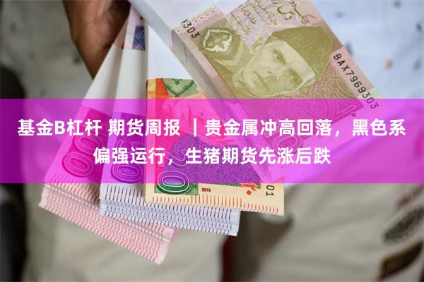 基金B杠杆 期货周报 ｜贵金属冲高回落，黑色系偏强运行，生猪期货先涨后跌